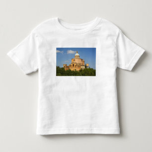 Italy, Bologna, Sunny Day with Portico di San Toddler T-Shirt