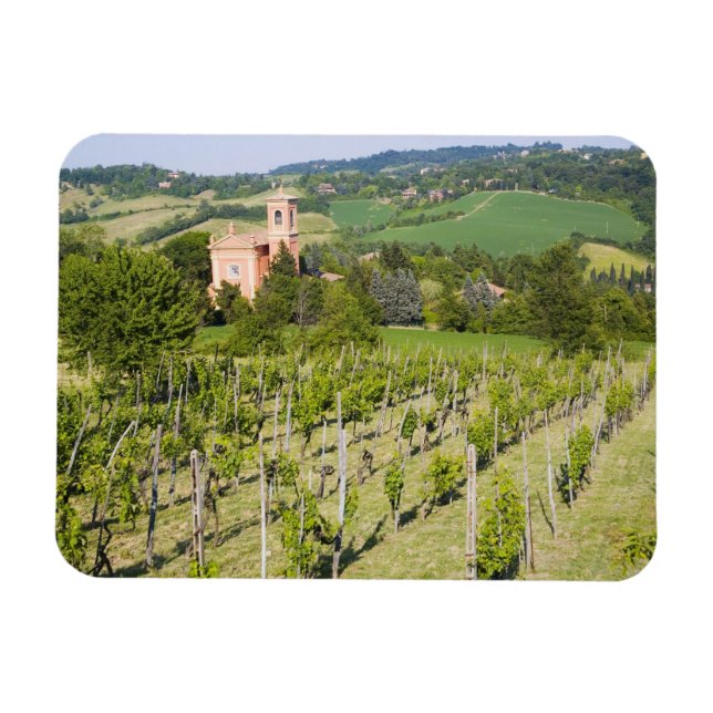 Italy, Bologna, View through Vineyard to Chiesa Magnet (Horizontal)