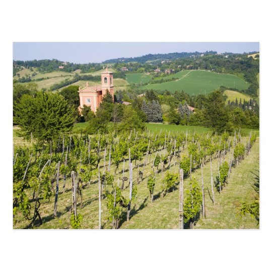 Italy, Bologna, View through Vineyard to Chiesa Postcard