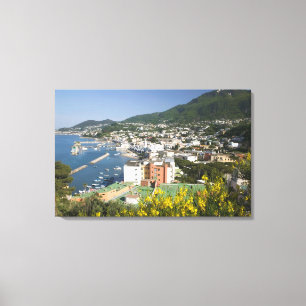 ITALY, Campania, (Bay of Naples), ISCHIA, LACCO Canvas Print