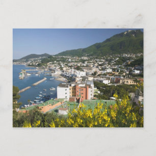 ITALY, Campania, (Bay of Naples), ISCHIA, LACCO Postcard