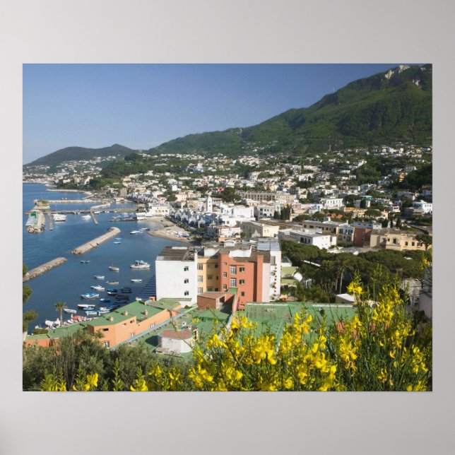 ITALY, Campania, (Bay of Naples), ISCHIA, LACCO Poster (Front)