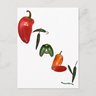Italy Chilli Peppers Postcard