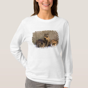 Italy, Cinque Terre, Vernazza. Three cats T-Shirt