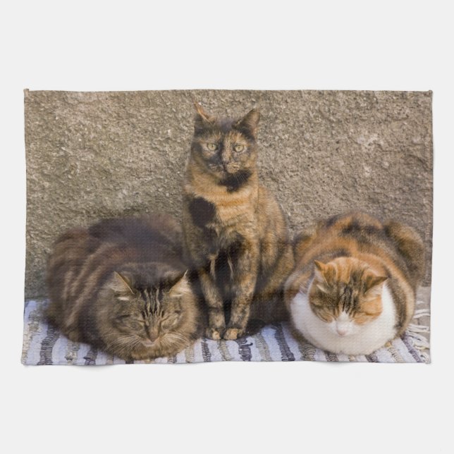 Italy, Cinque Terre, Vernazza. Three cats Tea Towel (Horizontal)