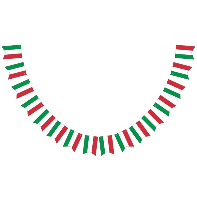Italy Flag (All)