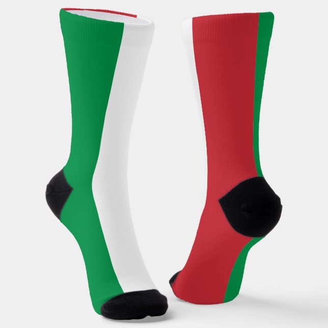 Italy Flag Fun Patriotic Italian National Pride Socks (Angled)
