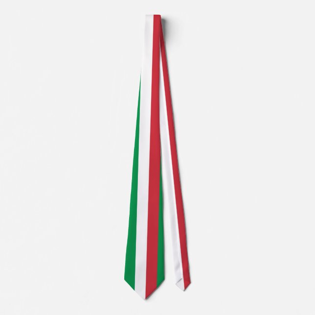 Italy Flag Tie (Front)