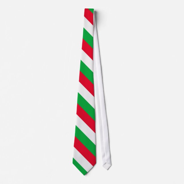 Italy Flag Tie (Front)