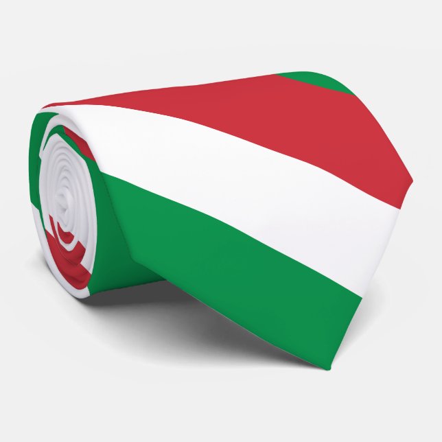 Italy Flag Tie (Rolled)