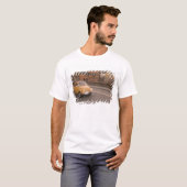 Italy, Florence. Fiat 800 Rally crosses Arno T-Shirt (Front Full)