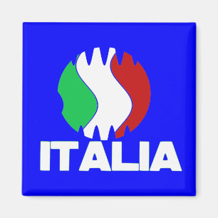 Italy Italia WC 2010 Fridge Magnet