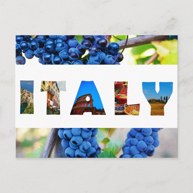 Italy Italian Vineyard Travel Photos Postcard (Front)
