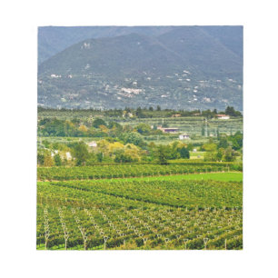 Italy, Lake Garda. The shores of Lake Garda are Notepad