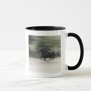 Italy, Latium, Maremma horse galloping (blurred Mug