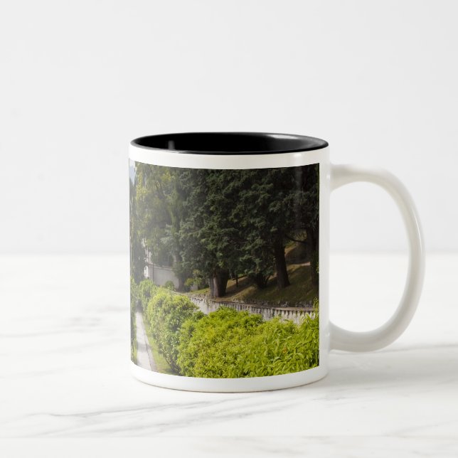 Italy, Lecco Province, Varenna. Villa Monastero, Two-Tone Coffee Mug (Right)