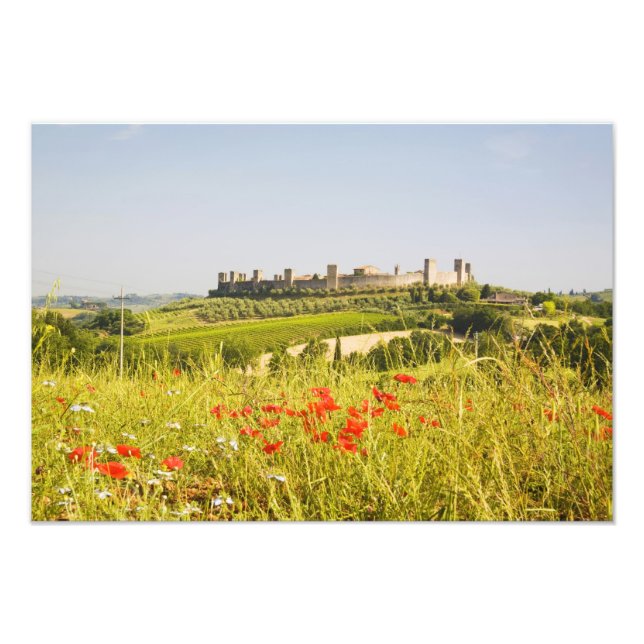 Italy, Monteriggioni, Field View of Photo Print (Front)