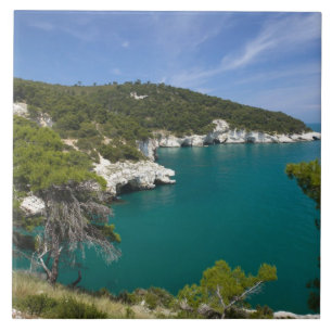 Italy, Puglia, Promontorio del Gargano, Testa Tile