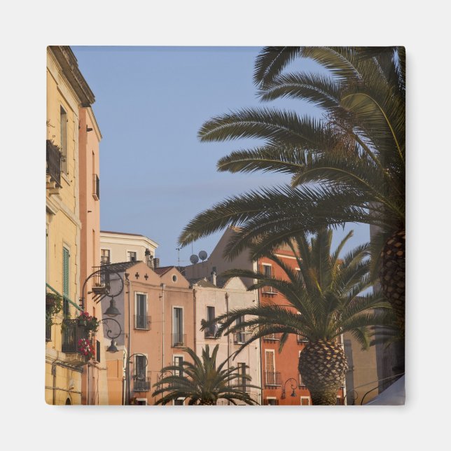 Italy, Sardinia, Cagliari. Buildings and palms Magnet (Front)