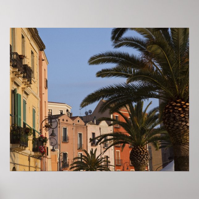 Italy, Sardinia, Cagliari. Buildings and palms Poster (Front)
