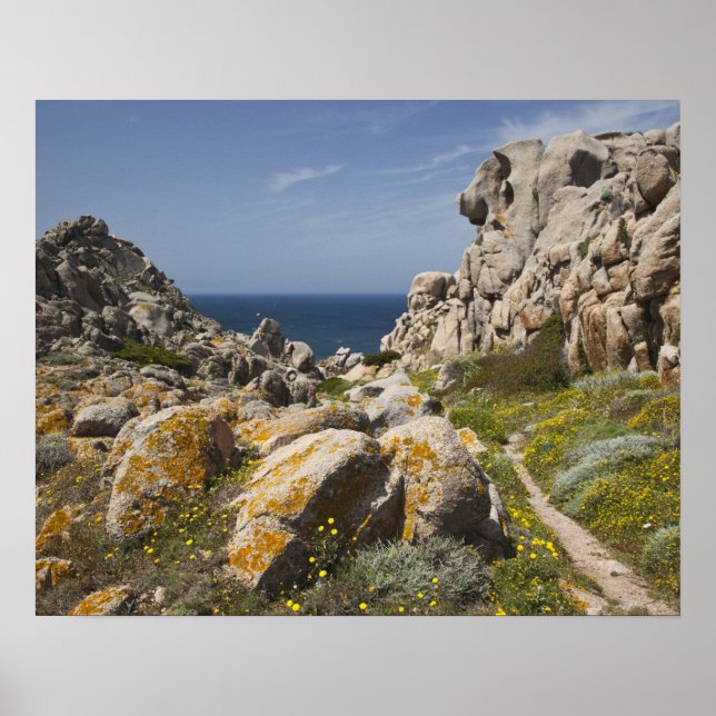 Italy, Sardinia, Santa Teresa Gallura. Capo 2 Poster (Front)