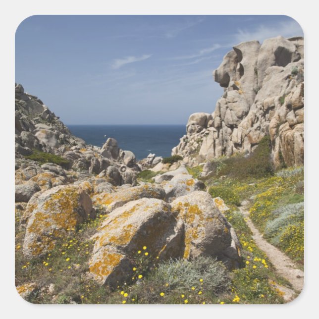 Italy, Sardinia, Santa Teresa Gallura. Capo 2 Square Sticker (Front)