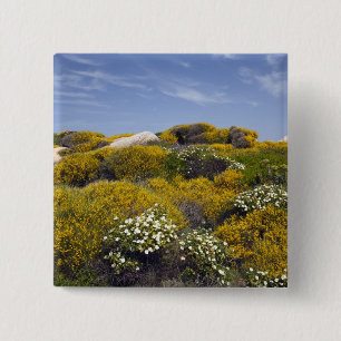 Italy, Sardinia, Santa Teresa Gallura. Capo 3 15 Cm Square Badge