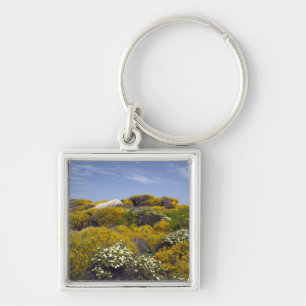Italy, Sardinia, Santa Teresa Gallura. Capo 3 Key Ring