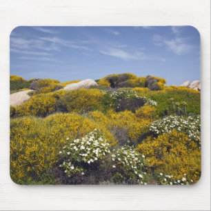 Italy, Sardinia, Santa Teresa Gallura. Capo 3 Mouse Mat