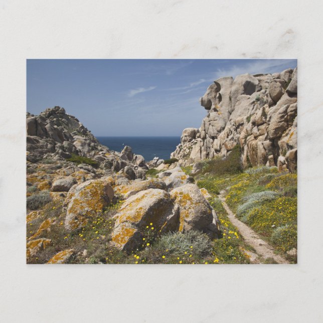 Italy, Sardinia, Santa Teresa Gallura. Chapter 2 Holiday Postcard (Front)