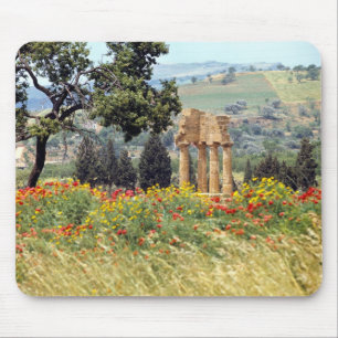 Italy, Sicily, Agrigento. The ruins of the Mouse Mat