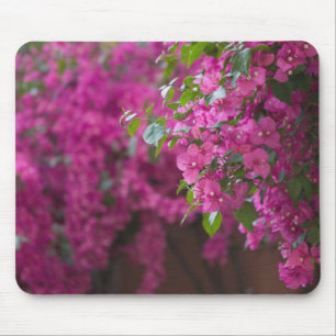 Italy, Sicily, Cefalu, Flowered Courtyard by Mouse Mat