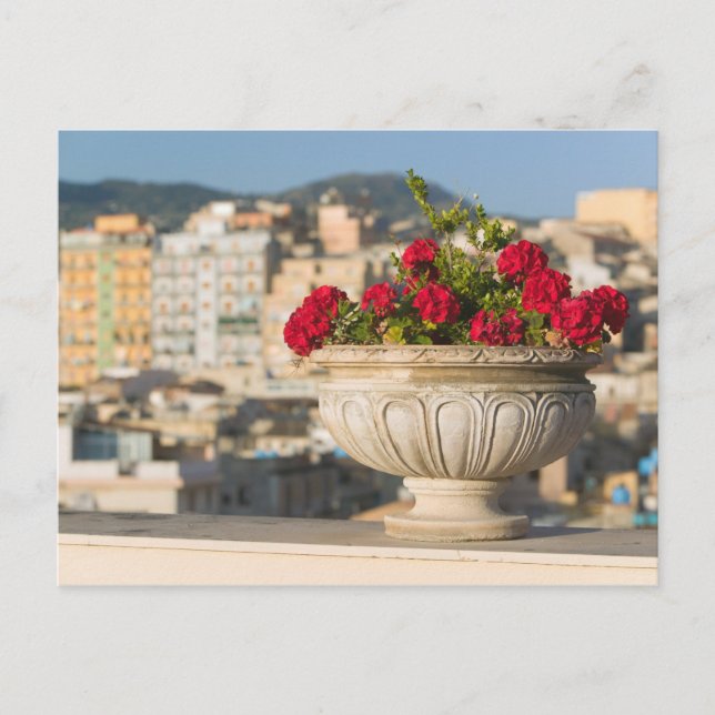 Italy, Sicily, Termini Imerese, View & Flowers Postcard (Front)
