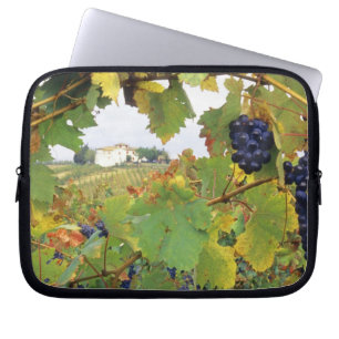 Italy, Tuscany Farmhouse viewed through Laptop Sleeve