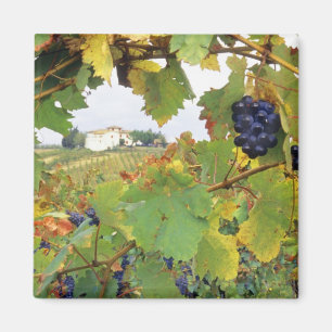 Italy, Tuscany Farmhouse viewed through Magnet