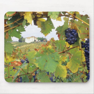 Italy, Tuscany Farmhouse viewed through Mouse Mat