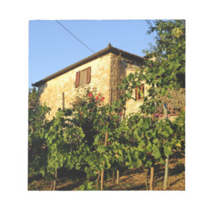 Italy, Tuscany, Greve. Late summer wine scenes Notepad