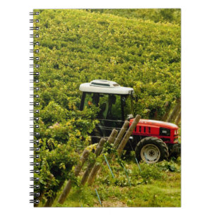 Italy, Tuscany, Greve. Pickers at work during Notebook