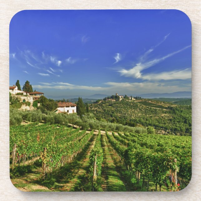 Italy, Tuscany, Greve. The vineyards of Castello Coaster (Front)