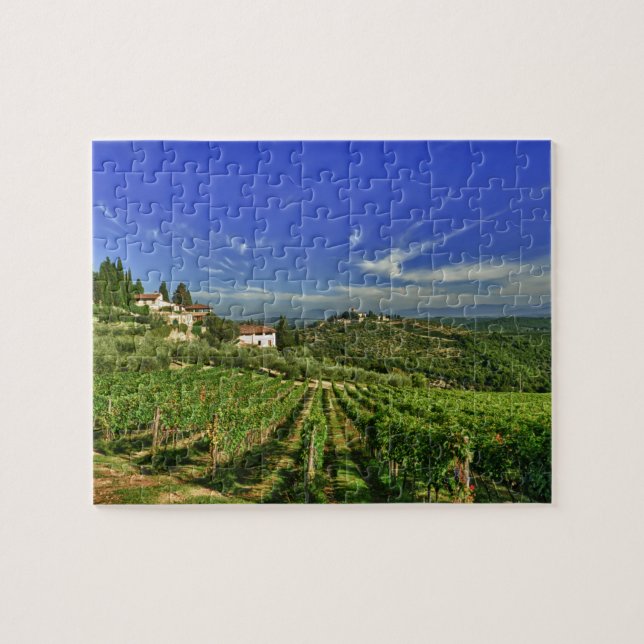 Italy, Tuscany, Greve. The vineyards of Castello Jigsaw Puzzle (Horizontal)