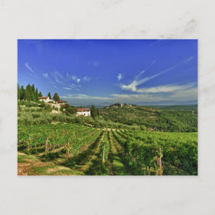 Italy, Tuscany, Greve. The vineyards of Castello Postcard