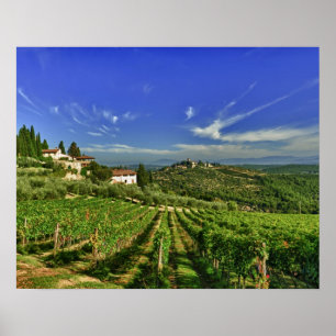 Italy, Tuscany, Greve. The vineyards of Castello Poster