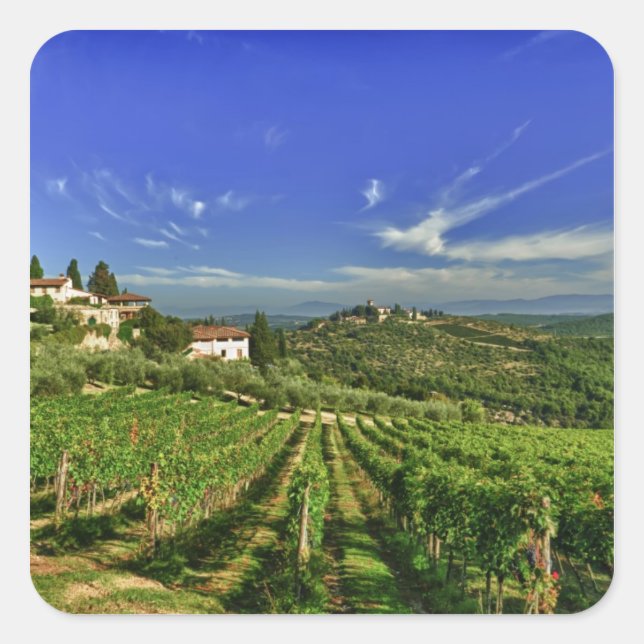 Italy, Tuscany, Greve. The vineyards of Castello Square Sticker (Front)