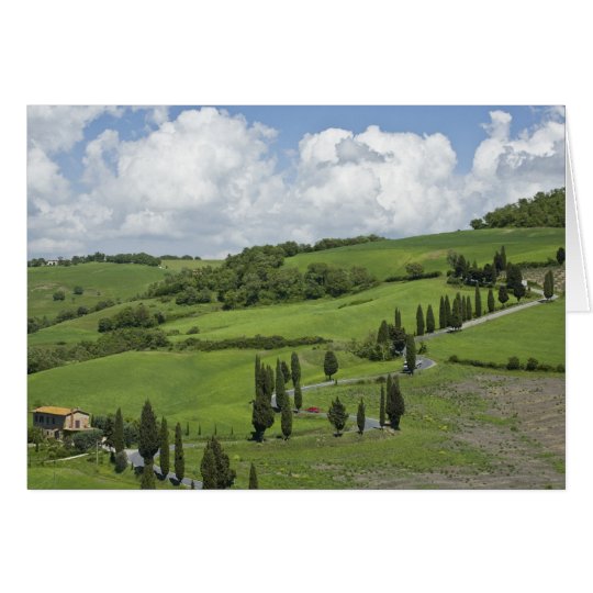 Italy, Tuscany. La Foce. A curved road winds up Card