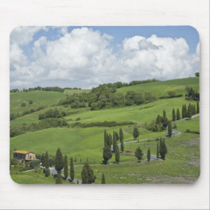 Italy, Tuscany. La Foce. A curved road winds up Mouse Mat