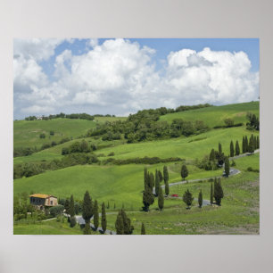 Italy, Tuscany. La Foce. A curved road winds up Poster