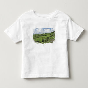 Italy, Tuscany. La Foce. A curved road winds up Toddler T-Shirt