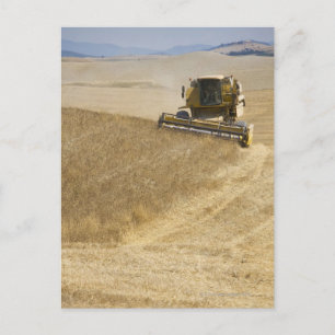 Italy. Tuscany. Montalcino 4 Postcard