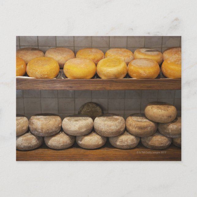 Italy. Tuscany. Pienza. 3 Postcard (Front)