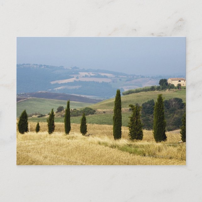 Italy. Tuscany. Pienza. Postcard (Front)